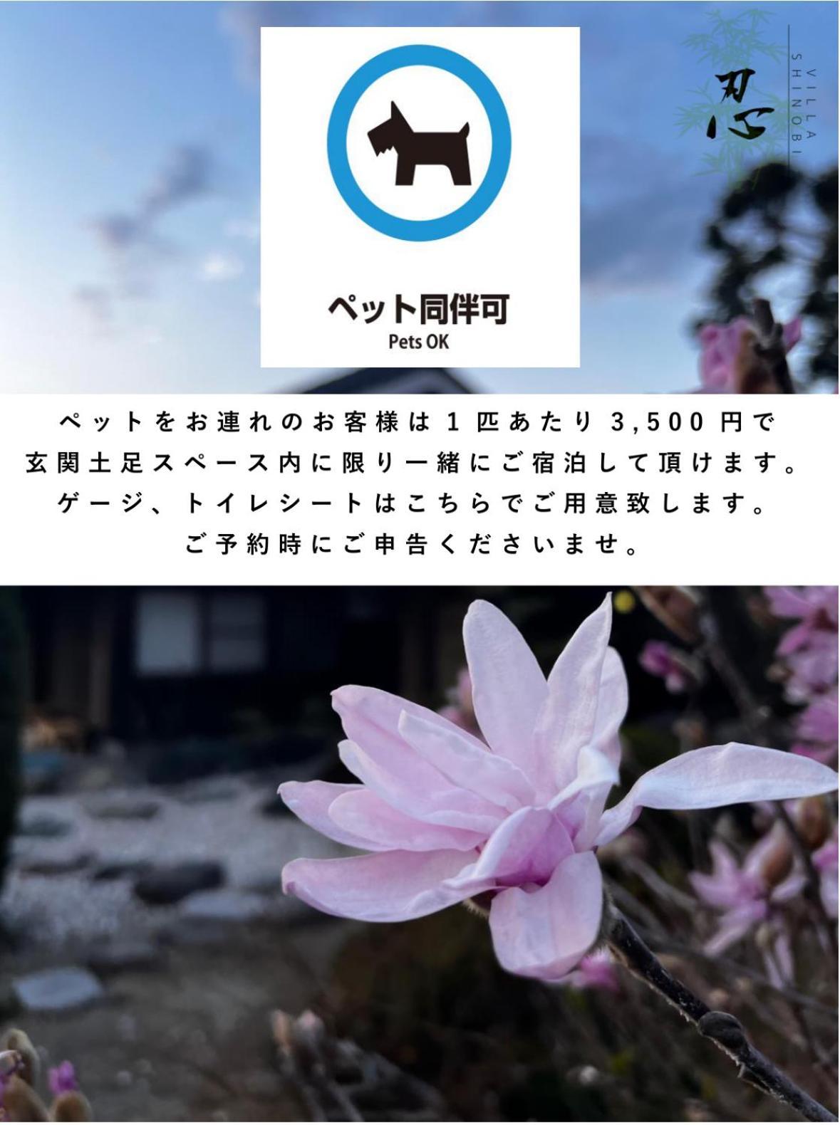 Hinase Villa Shinobi -忍- מראה חיצוני תמונה